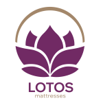 Матрас Lotos (6)